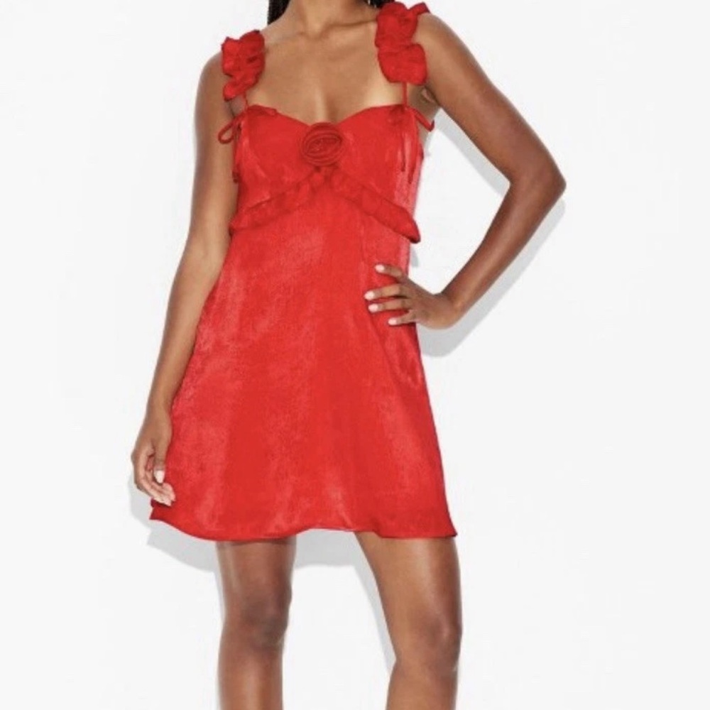 Wild Fable Red Rosette Mini Babydoll Dress- Large